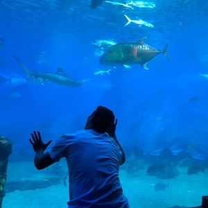 Meet your Posher, Kyle